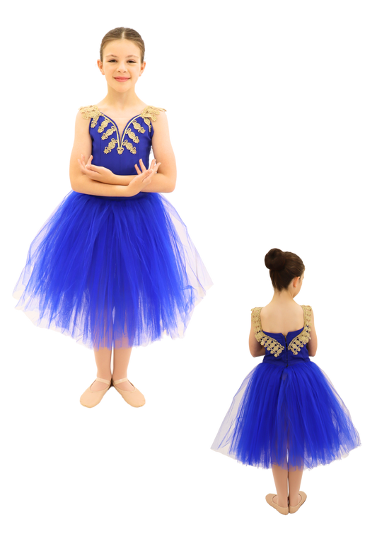 Royal Blue Romantic Tutu Dress