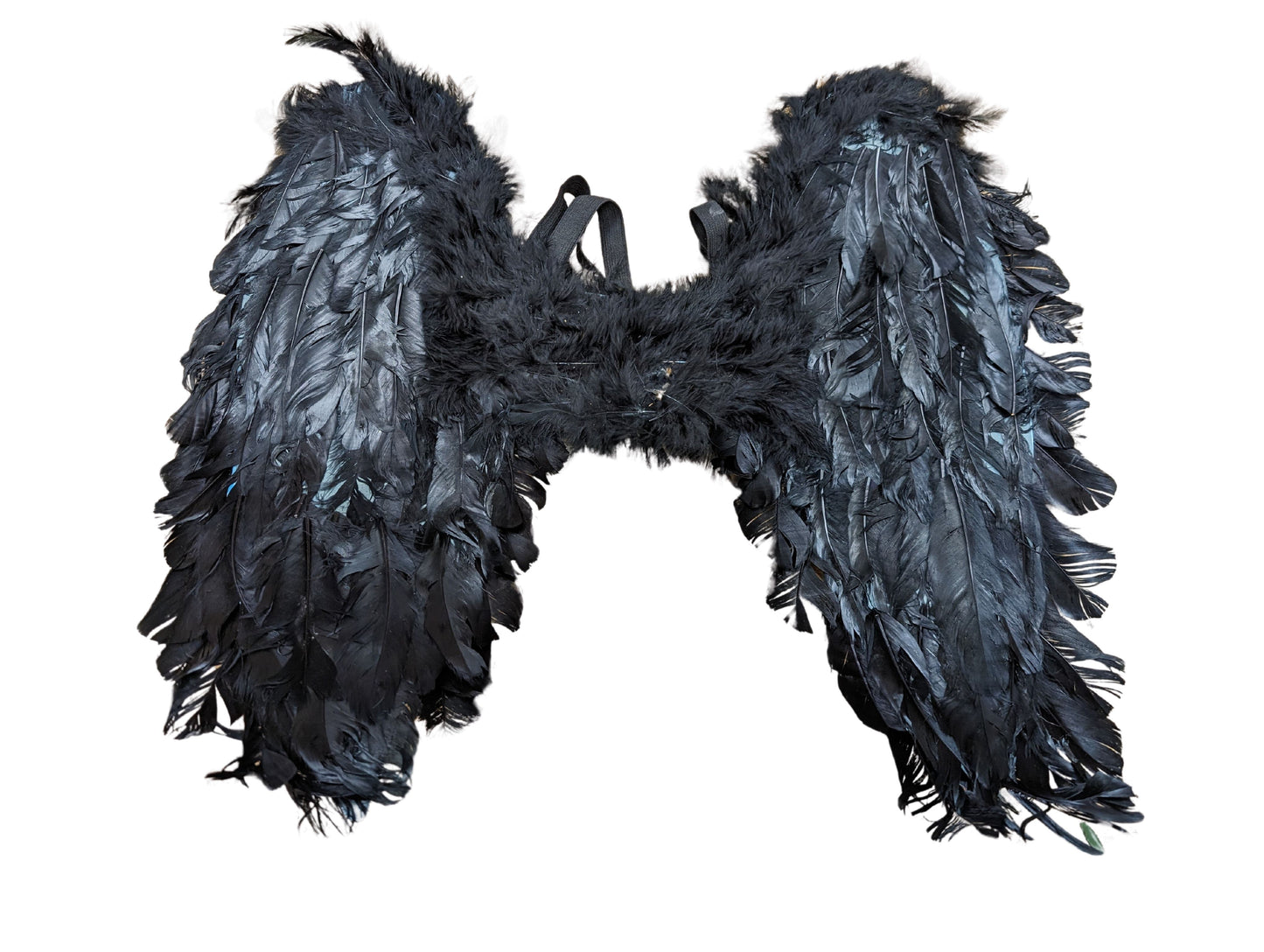 Black Feathery Wings