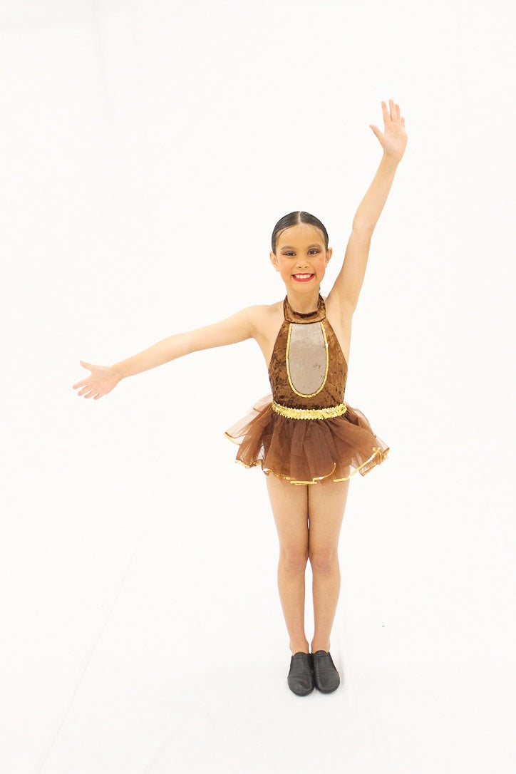 Brown and Gold skirt