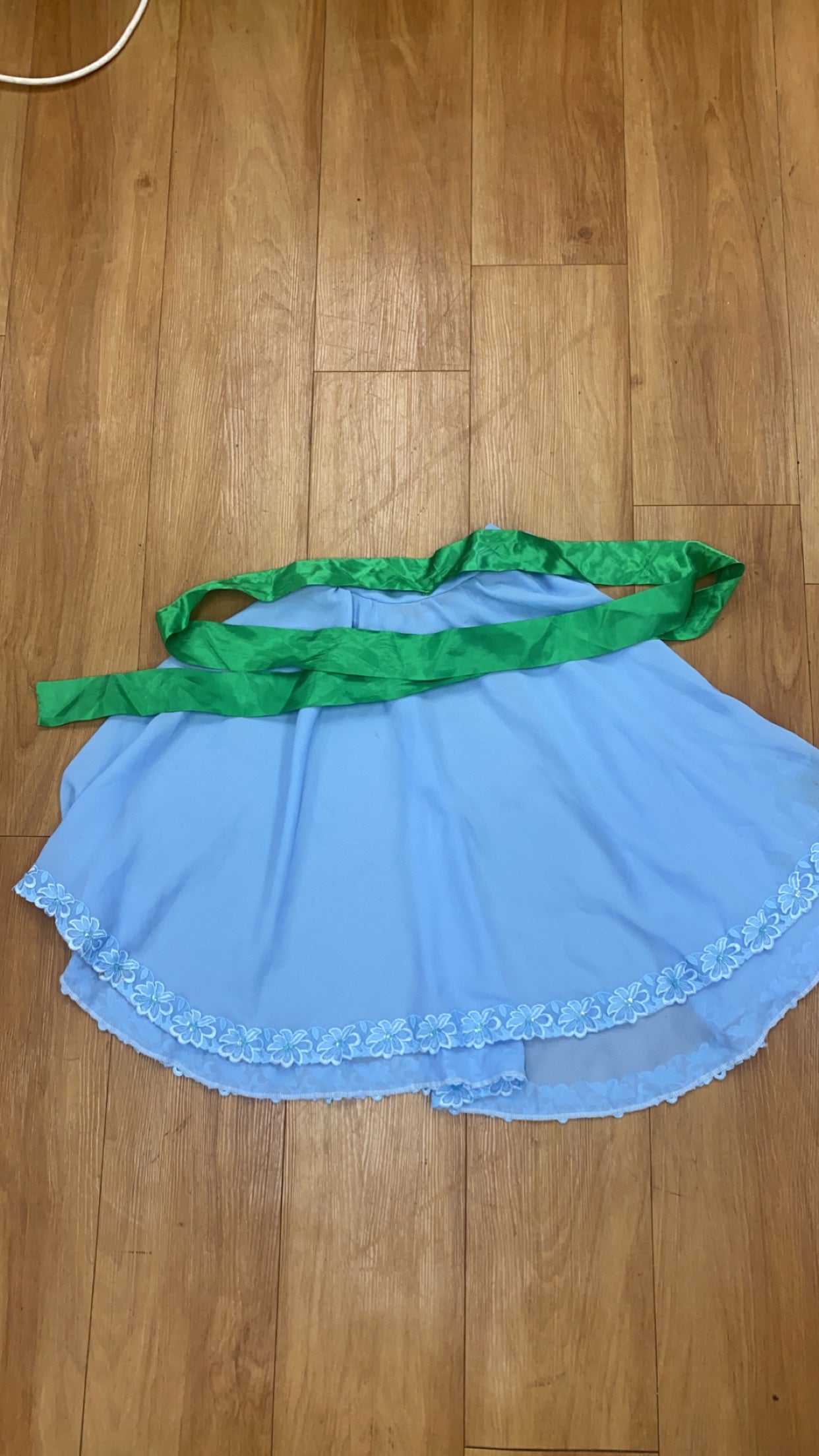 Blue Chiffon Skirt with Green Ribbon